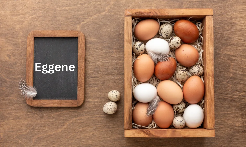 Exploring Eggene: A Revolutionary Approach to Genetic Modification