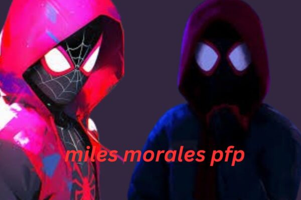 Miles Morales PFP