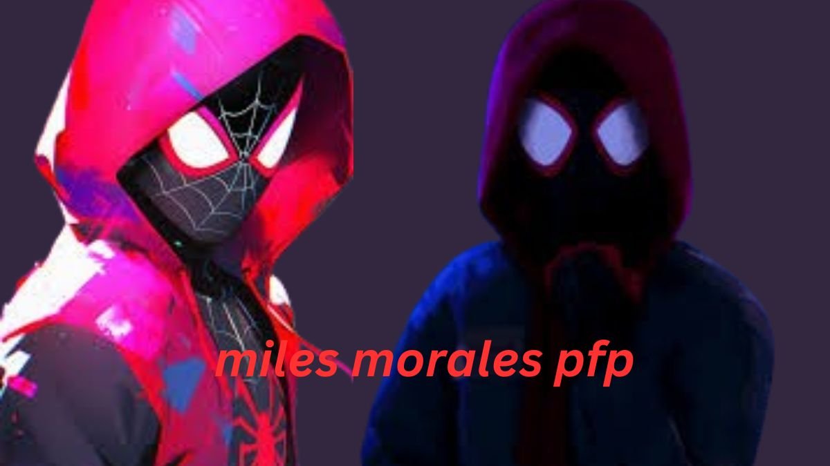 Miles Morales PFP